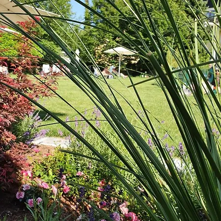 Himmelreich Ξενοδοχείο